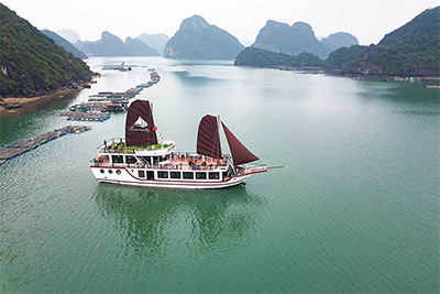 Tour du thuyền Serenity Premium vịnh Lan Hạ 1 ngày